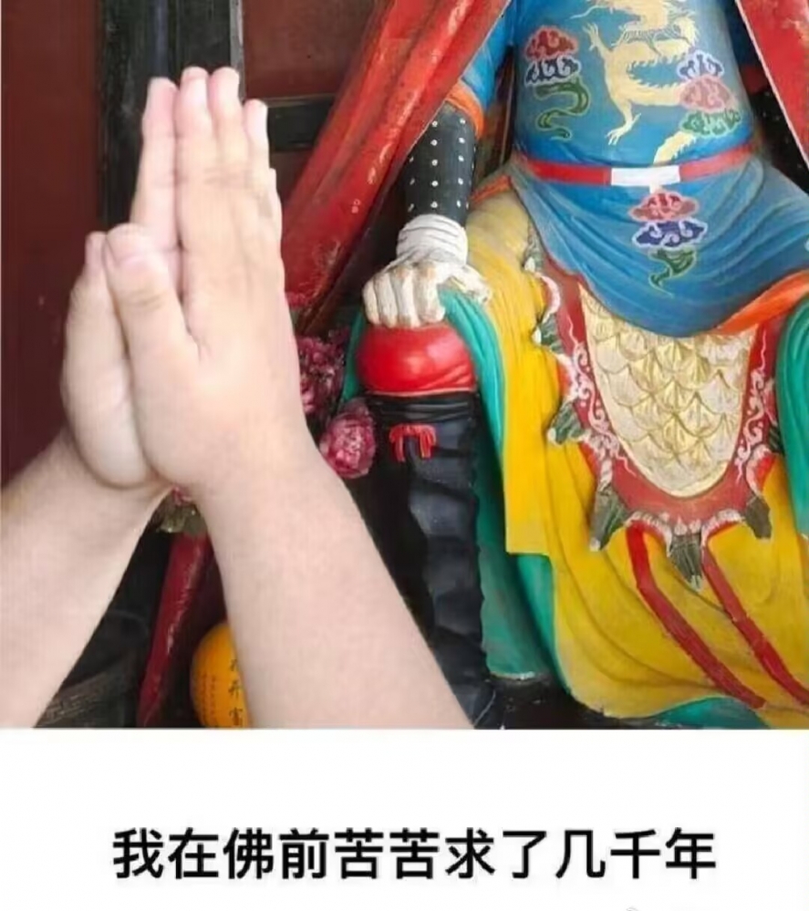 我在佛前苦求了几千年