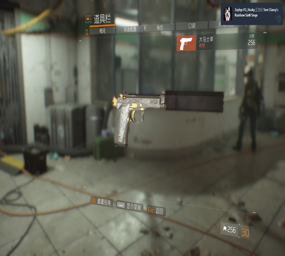 全境里没有镭射配件槽