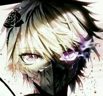 极度分裂.白烛葵