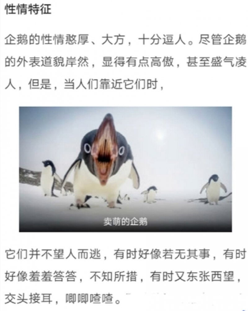 PS1：冲Q币吗？！