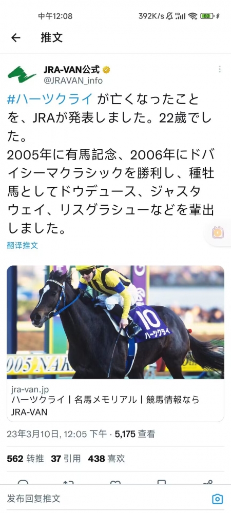 公告