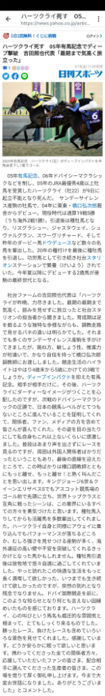 相关公告