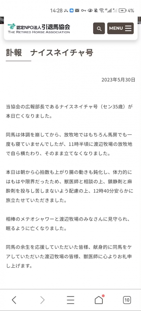 相关报道