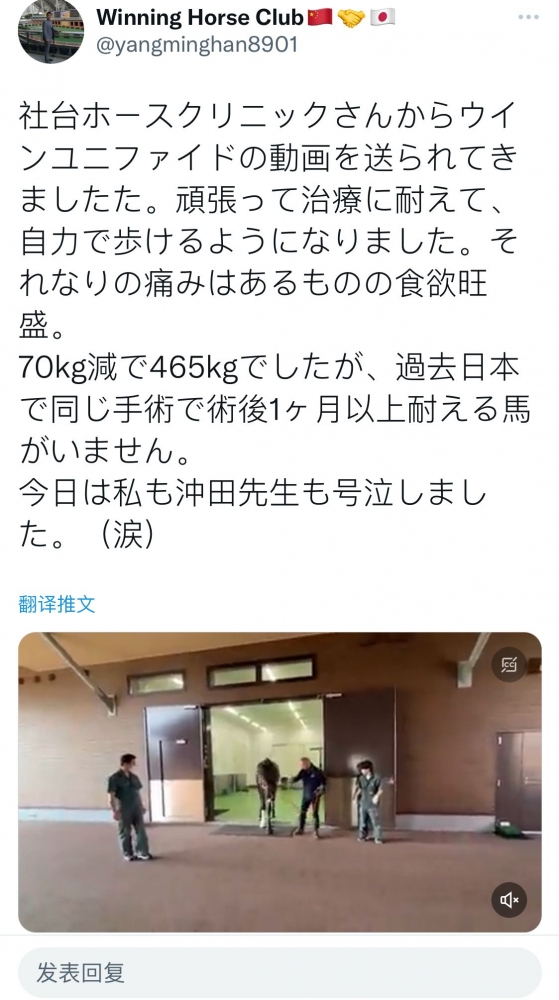 胜哥近况，视频b站