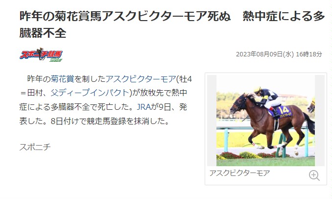 相关报道