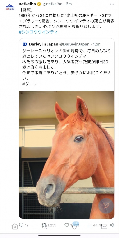 相关报告