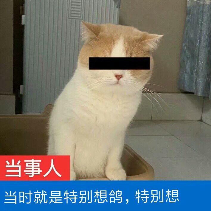 就有一种蜜汁的从容