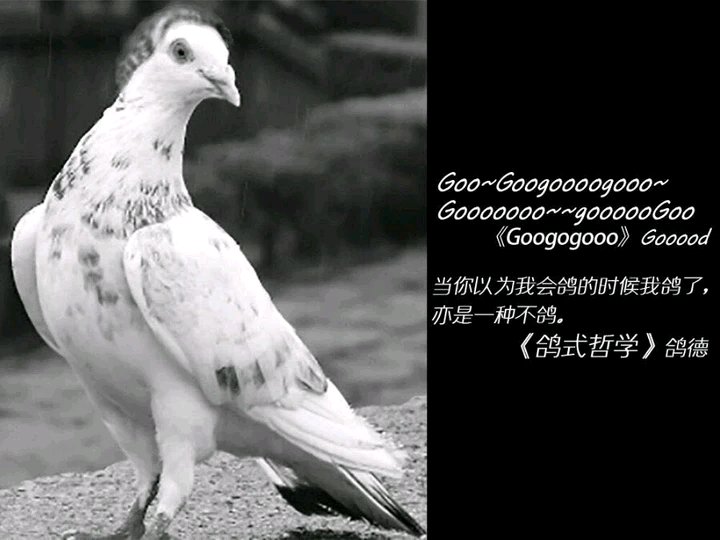 伟大哲学家---鸽德