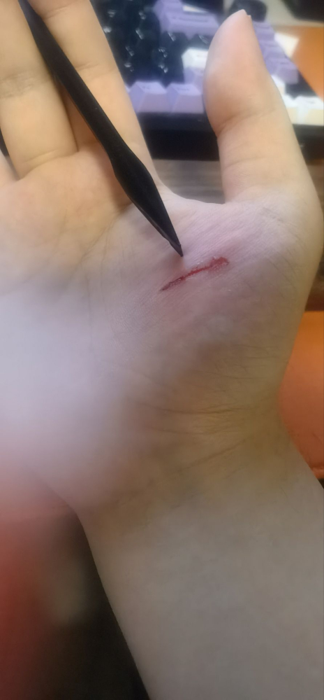 ��������ʹ