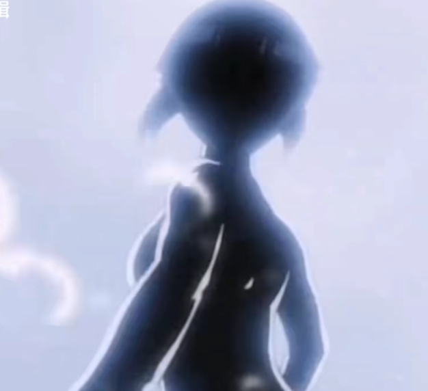 优美的日向柔拳