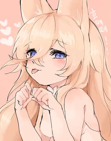 指挥官！略略路~~☆