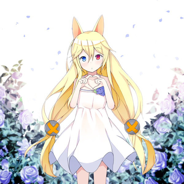 和G41**心小饼干