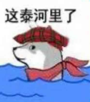 这泰河里