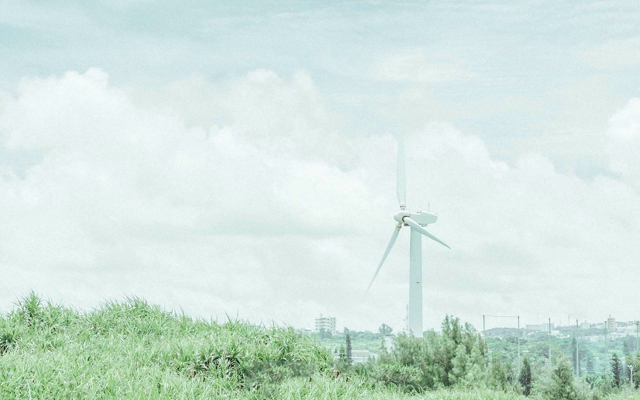 是什么东西在山里