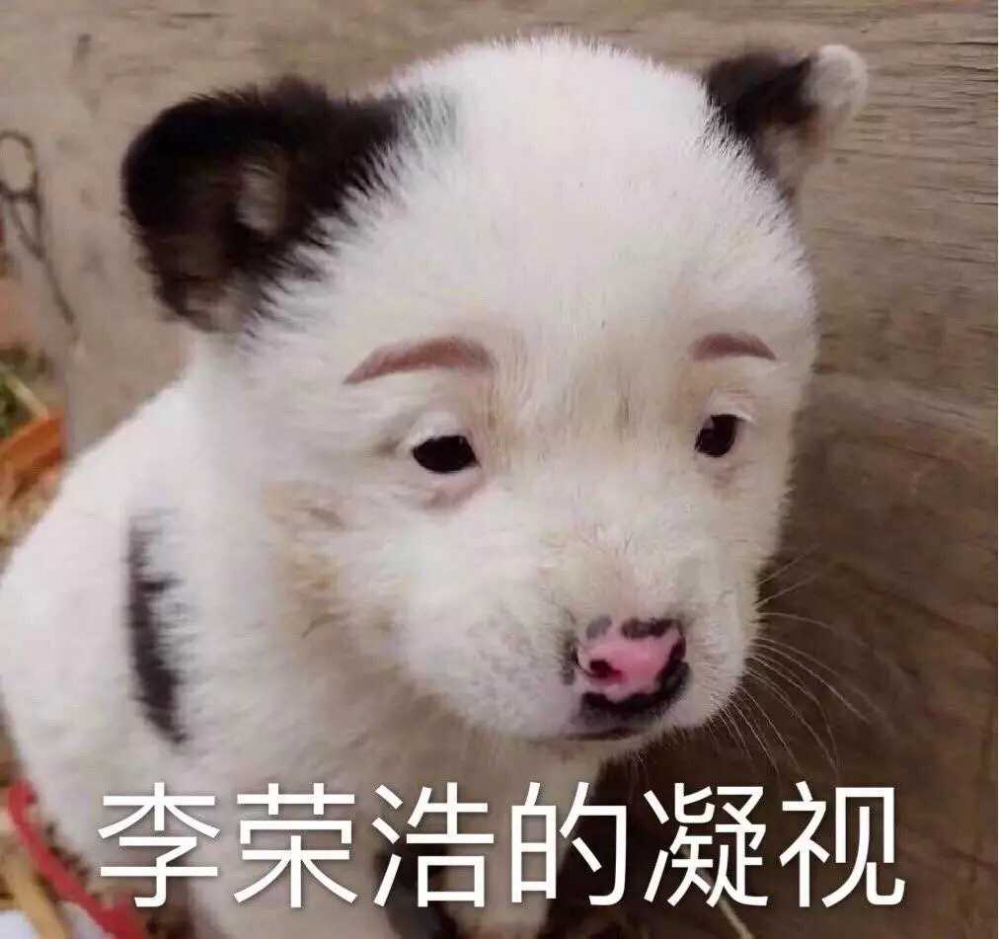 相似度百分百
