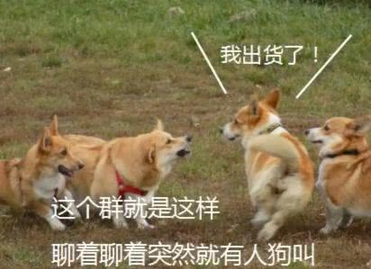 除豹安良，消灭欧皇