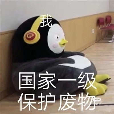 国家一级保护废物