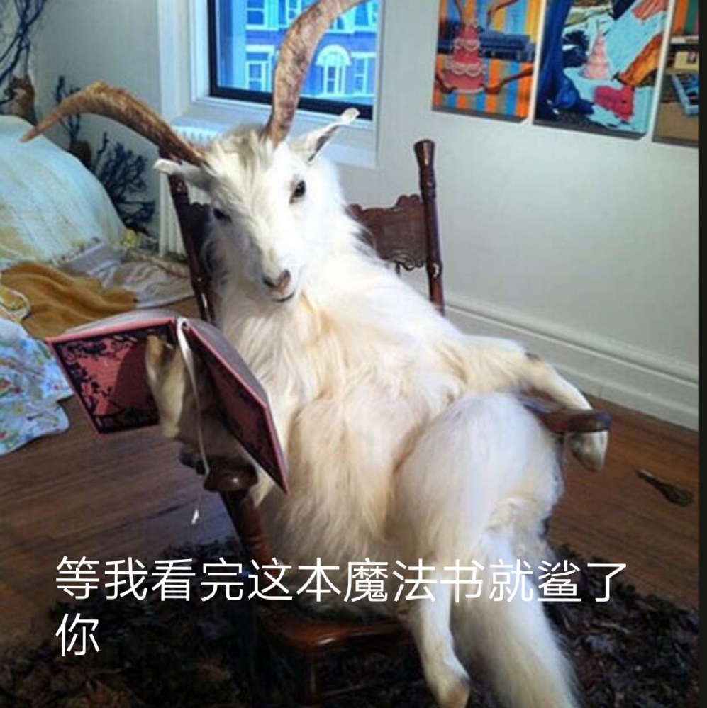 魔导师