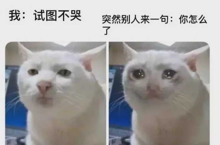 说好不哭