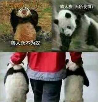 兽人永不为奴