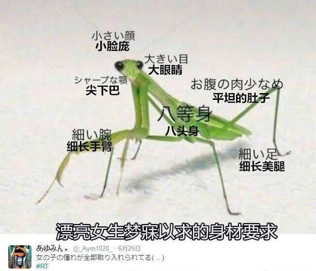 完美