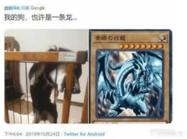 布鲁艾斯外特多拉贡