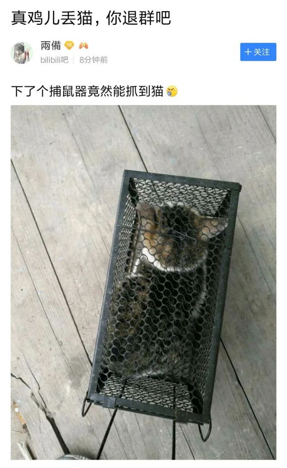 今日份