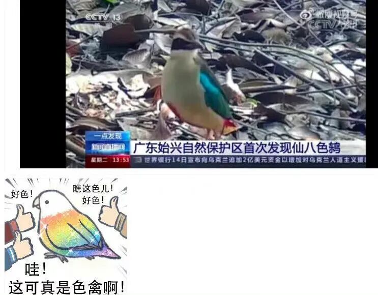 今日份
