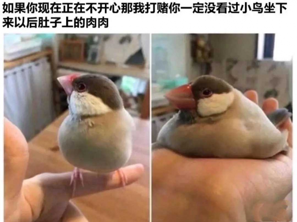 今日份