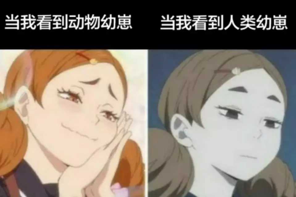 今日份