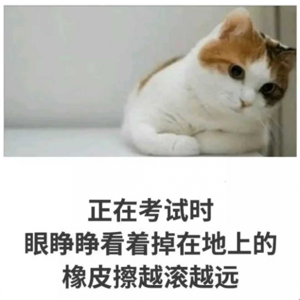 今日份