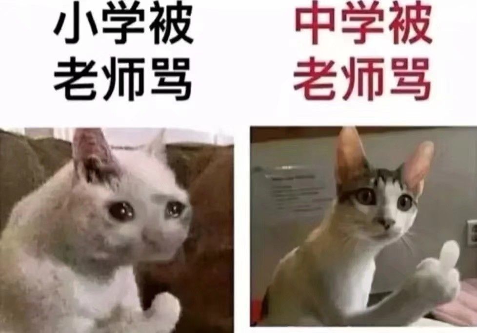 今日份