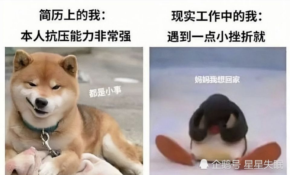今日份