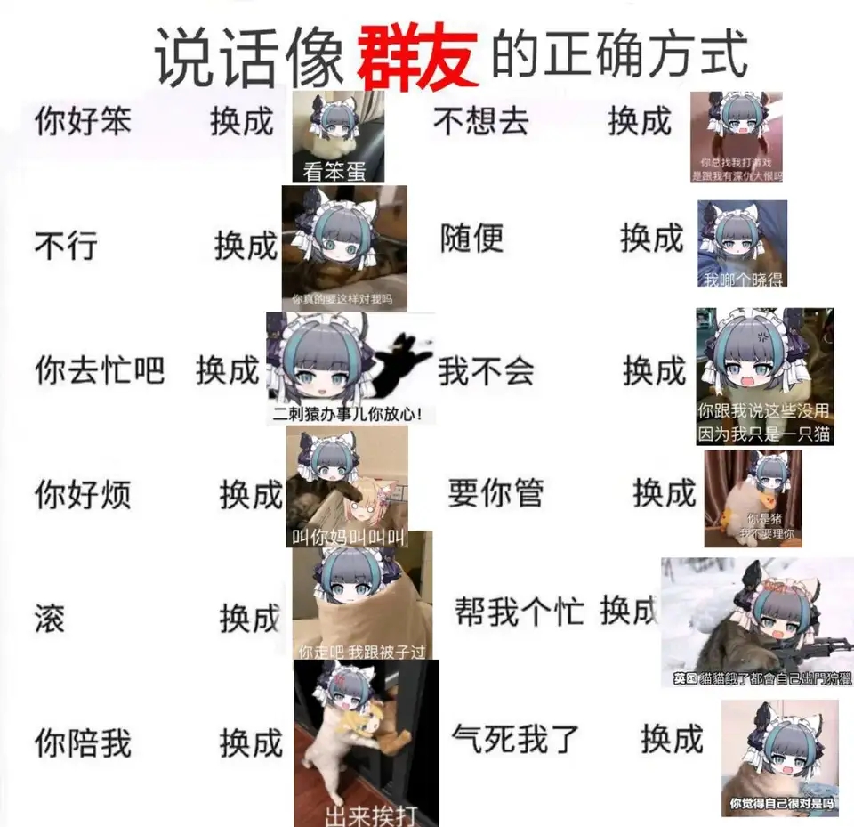 猫猫表情包