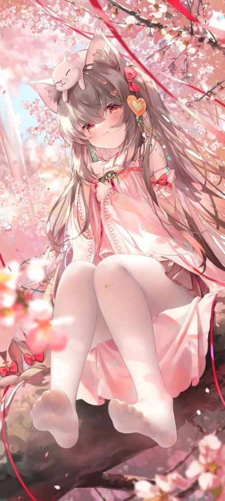 美图