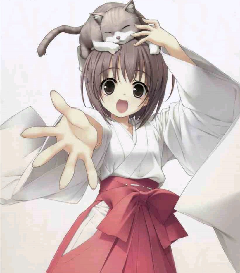 天女目瑛