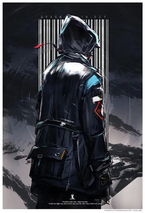 完美的他