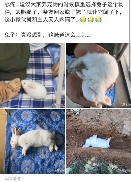 厉害厉害nbnb