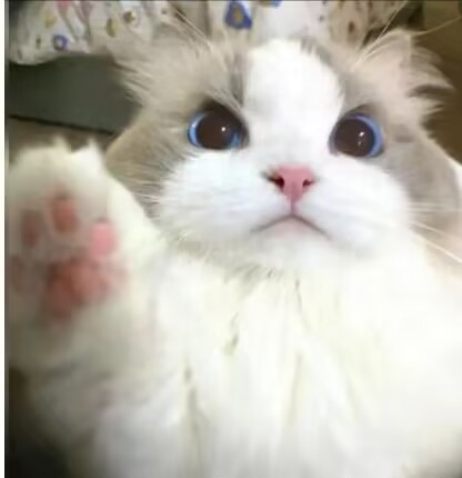 击掌！