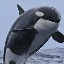 是的,是会变化的