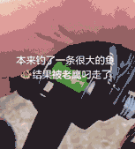 钓上老鹰.gif