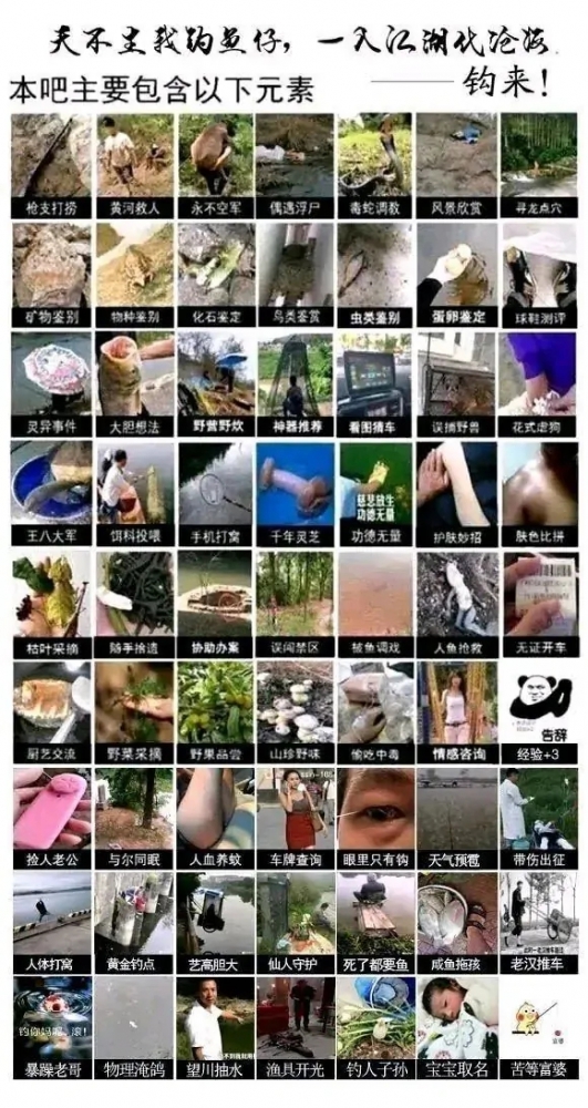 钓鱼吧老哥业务范围