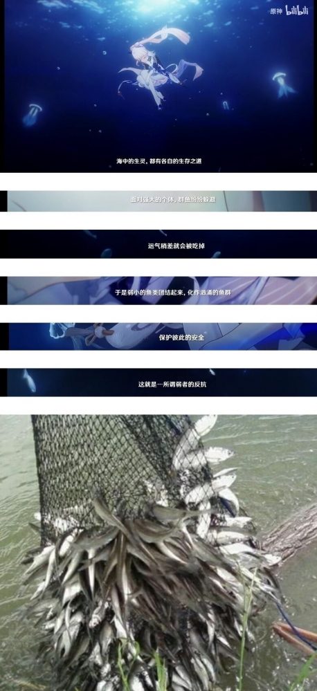 这种反抗请多来一点