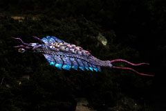 佩德隆·福瑞更