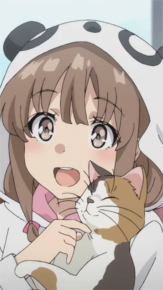 和猫玩