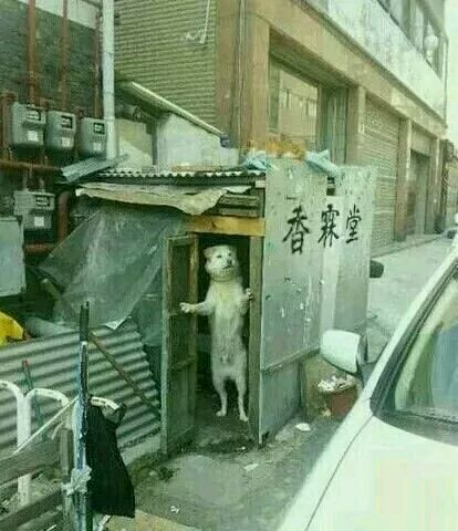 【香霖堂】