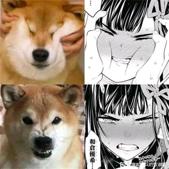 今天也要开心哦？