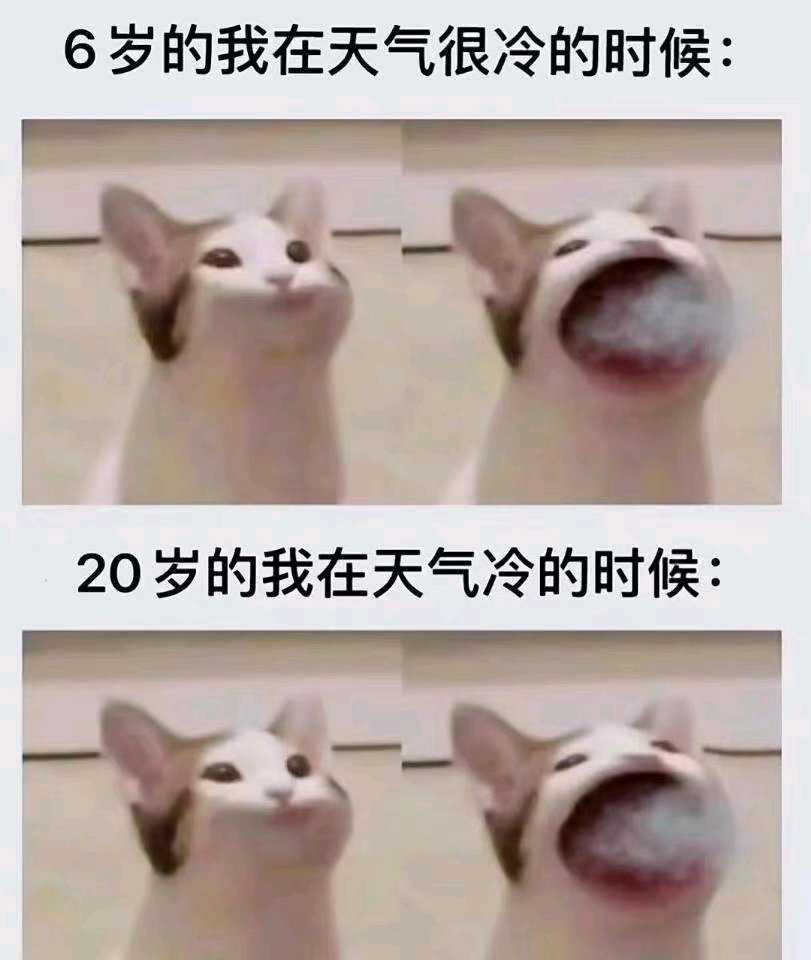 愿大家今后一直可爱！