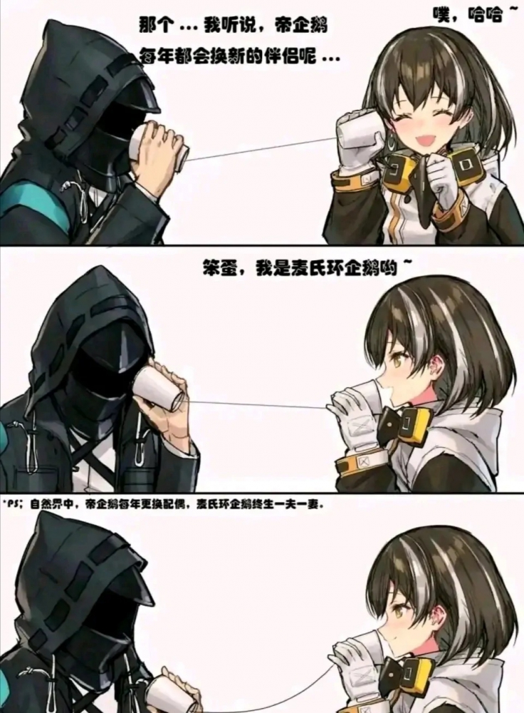 今日份的图！
