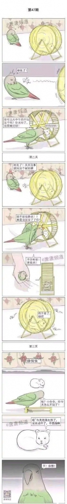 今日份的图！